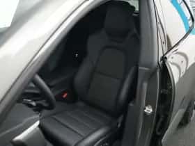 Porsche Onbekend (2026) thumbnail 19