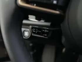 Porsche Onbekend (2025) thumbnail 14