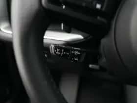 Porsche Onbekend (2024) thumbnail 10