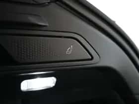 Porsche Onbekend (2026) thumbnail 41