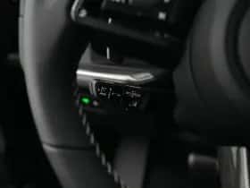 Porsche Onbekend (2026) thumbnail 10