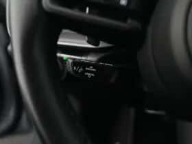 Porsche Onbekend (2021) thumbnail 25