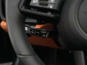 Porsche Onbekend (2025) thumbnail 9