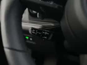 Porsche Onbekend (2024) thumbnail 15