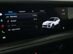 Porsche Onbekend (2024) thumbnail 35