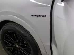 Porsche Onbekend (2026) thumbnail 11
