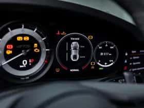 Porsche Onbekend (2023) thumbnail 31