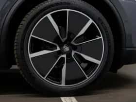 Porsche Onbekend (2025) thumbnail 14