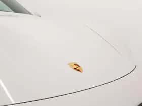 Porsche Onbekend (2025) thumbnail 14