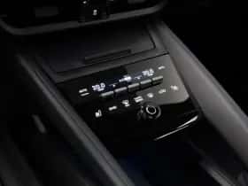 Porsche Onbekend (2025) thumbnail 28