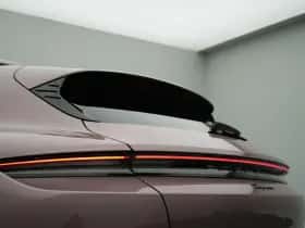 Porsche Onbekend (2023) thumbnail 14
