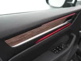 Porsche Onbekend (2024) thumbnail 14