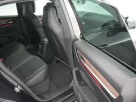 Porsche Onbekend (2024) thumbnail 36