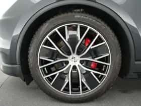 Porsche Onbekend (2024) thumbnail 41