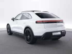 Porsche Onbekend (2025) thumbnail 3