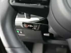 Porsche Onbekend (2023) thumbnail 29