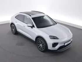 Porsche Onbekend (2025) thumbnail 9