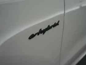 Porsche Onbekend (2025) thumbnail 39