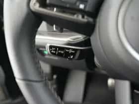 Porsche Onbekend (2025) thumbnail 23