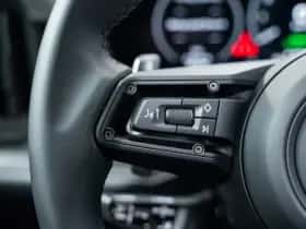 Porsche Cayenne (0) thumbnail 38