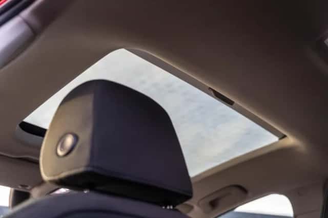 Volkswagen Golf (2026) thumbnail 48
