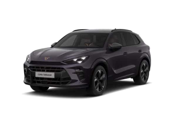 CUPRA Terramar (2026) thumbnail 10
