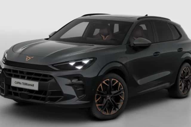 CUPRA Terramar (2026) thumbnail 2