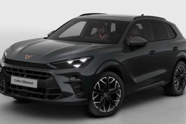 CUPRA Terramar (2026) thumbnail 2