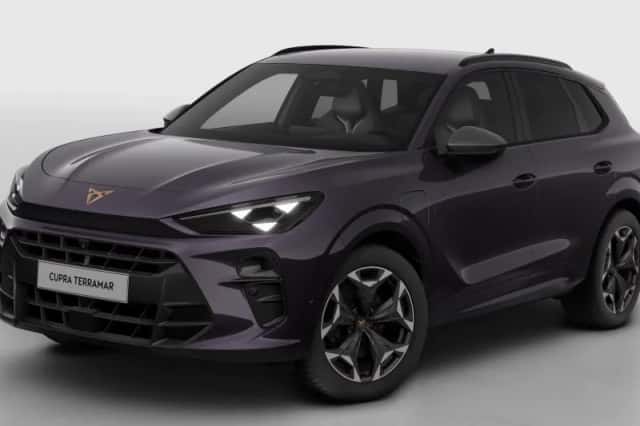 CUPRA Terramar (2026) thumbnail 2