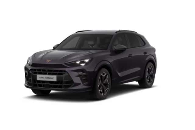 CUPRA Terramar (2026) thumbnail 10