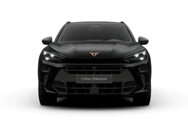 CUPRA Terramar (2026) thumbnail 9