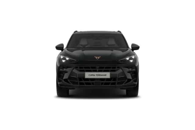 CUPRA Terramar (2026) thumbnail 9