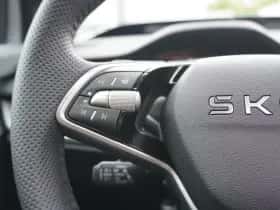 Škoda Enyaq (2025) thumbnail 29