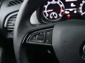Škoda Fabia (2019) thumbnail 24