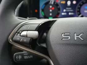 Škoda Kodiaq (2026) thumbnail 23