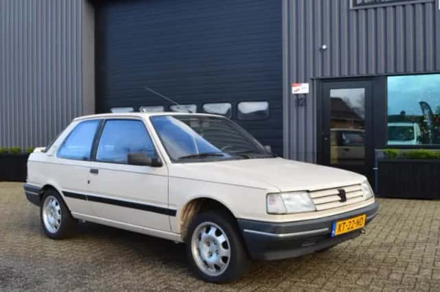 Peugeot 309 (1989) thumbnail 1