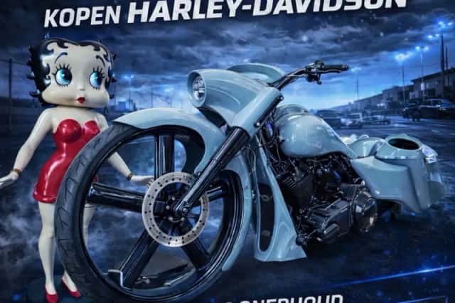 Harley Davidson Tour (2016) thumbnail 27
