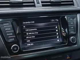 Škoda Fabia thumbnail 20