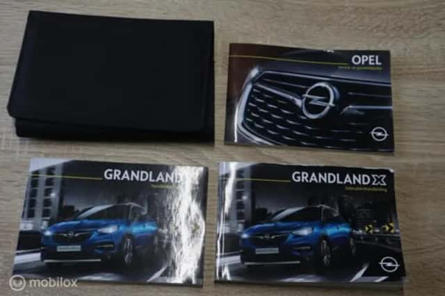 Opel Grandland (2019) thumbnail 40