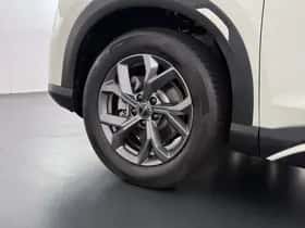 BYD ATTO 2 (2024) thumbnail 12
