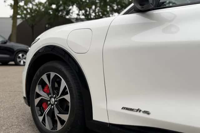 Ford Mustang (2021) thumbnail 3