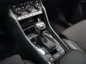 Škoda Kodiaq (2023) thumbnail 21
