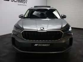 Škoda Kodiaq thumbnail 2