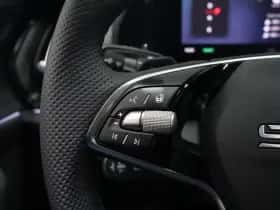 Škoda Kodiaq thumbnail 14