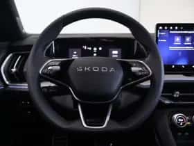 Škoda Kodiaq thumbnail 27