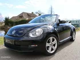 Volkswagen Beetle (2015) thumbnail 19