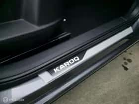 Škoda Karoq thumbnail 9