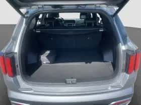 Kia Sorento (2020) thumbnail 30