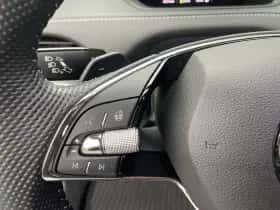 Škoda Enyaq (2022) thumbnail 19