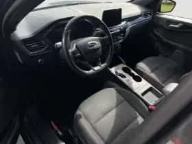 Ford Kuga (2019) thumbnail 11